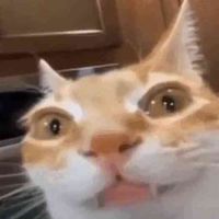 Michal Jegřik's Photo