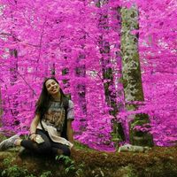 Alkmini Kais的照片