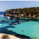 Long Weekend in Palma 's picture