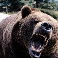 Nathan Bruneau's Photo