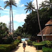 Laurence Beutler的照片