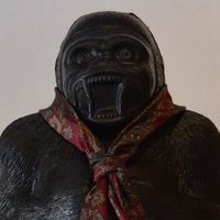 Le foto di Forrest Mulerath