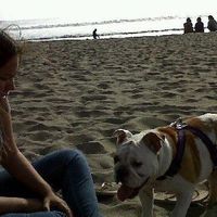 Le foto di Maria Graciela Vinas Lecinana