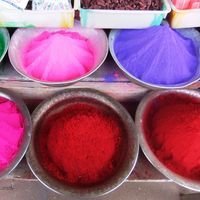 Giulia marchetti's Photo