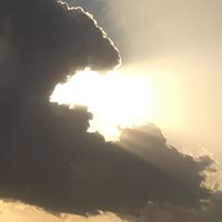 Marjan Atefi's Photo