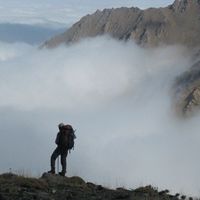 Fotos von sorena ashkanian