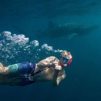 Richard Scott的照片