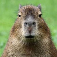 Yous  Rodriguez的照片