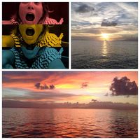 Céline Mercier's Photo