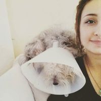 Zdjęcia użytkownika Kelly Sleeper