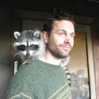 Fotos de Matt Nelson