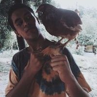 Francisco Toso的照片