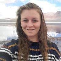 Фотографии пользователя Emily Steinhauer