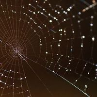 Фотографии пользователя Michael Farrar