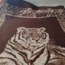 Guests Welcomeeee 🌞's picture