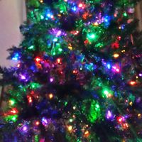 Fotos von eric powell