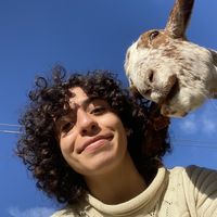 Golrokh Nouri's Photo