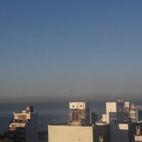 Daniela Ripoll's Photo