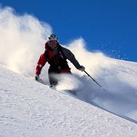 Giovanni Staud的照片