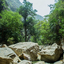 Hike in Jabal Sawda & Wadi Lajab? 's picture