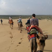 Madita Steiner's Photo