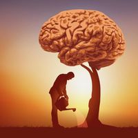 Abdulrahman A's Photo