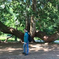 Ozan Venedik's Photo