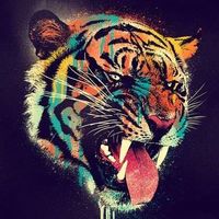 Фотографии пользователя Jota Brufau