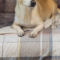 Claudia Barrientos's Photo