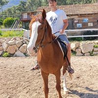 saruhan kilickol's Photo