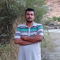sajjad valizadeh's Photo