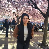 Nadia Jahanbin的照片