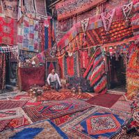 babak mehrafshar的照片