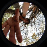 Marina Fagundes's Photo