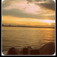 Фотографии пользователя Shirley To