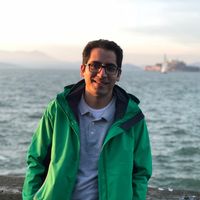 Omid Ghavibazoo's Photo