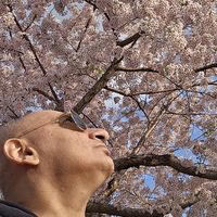 Harvinder Singh's Photo