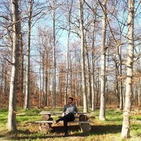 Bardia Rahmany的照片