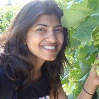 Sohini Manna's Photo