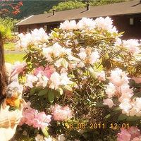 Zdjęcia użytkownika Jialing Lan