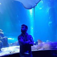 Gerasimos Kavvadas的照片