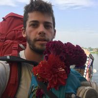 hagai cohen的照片