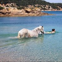 jessica bon的照片