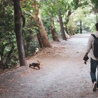 Konstantinos Skarakis的照片