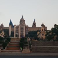 Ferose Khan的照片