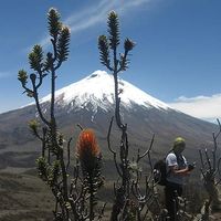 Juan Pablo Parreño Alvarez's Photo