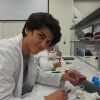 selcuk eren ekici的照片