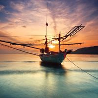 Nguyễn Thái Tiền的照片