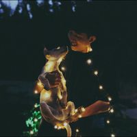 Qúy Nguyễn的照片