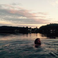 Fotos von Tim Petzold